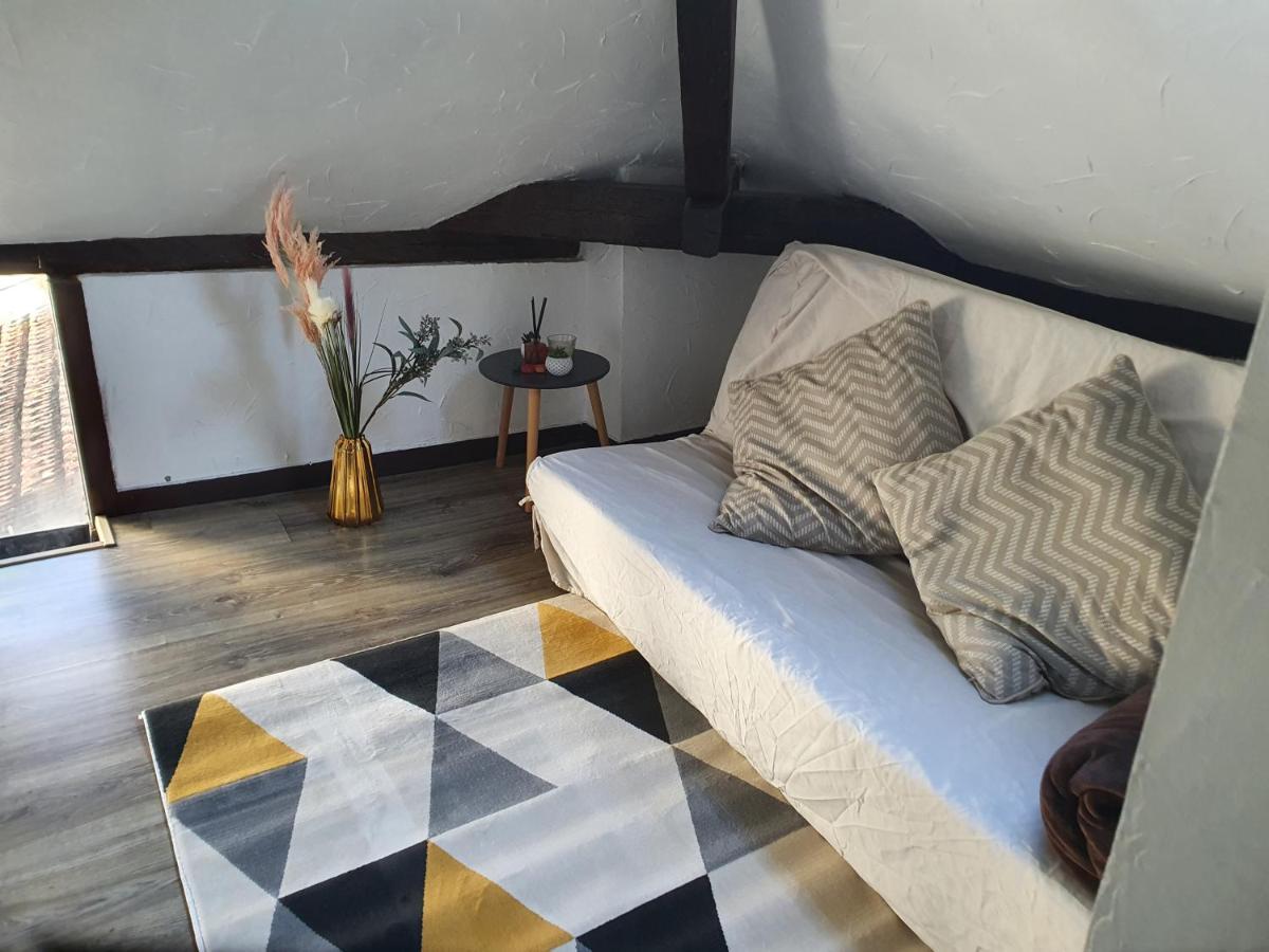Appartement De Charme Proximite Du Centre Ville ทรัวส์ ภายนอก รูปภาพ
